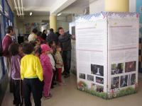 Un taller de presentación y dinamización en el CEIP Condesa de las Quemadas